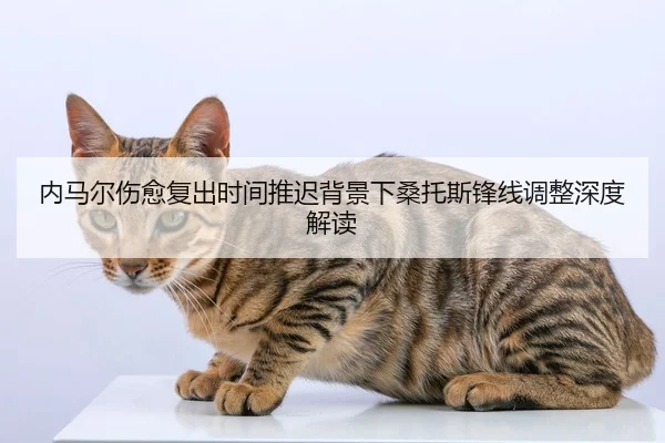 内马尔伤愈复出时间推迟背景下桑托斯锋线调整深度解读